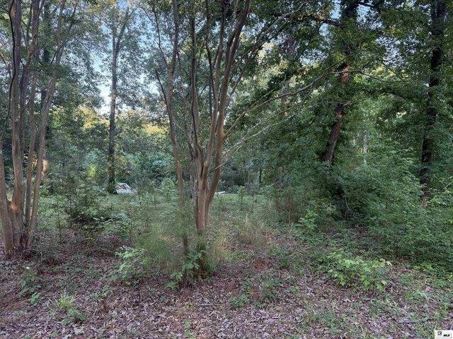 Land for sale in Downsville, Louisiana