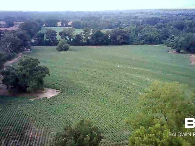 House for sale in Evergreen, Alabama