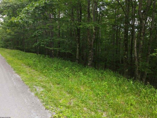 Land for sale in Terra Alta, West Virginia