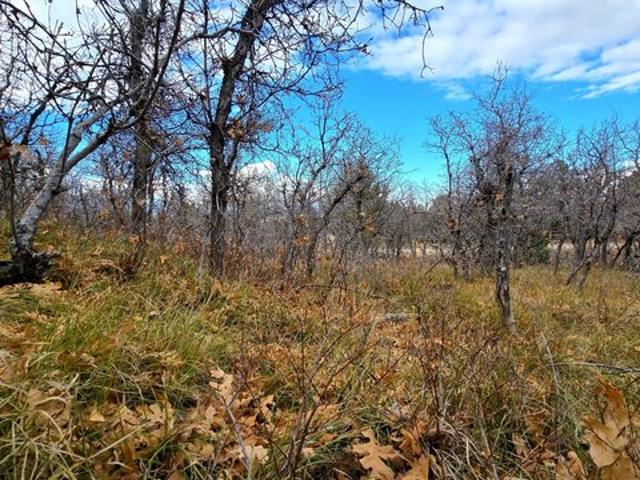 Land for sale in Mount Pleasant, Utah