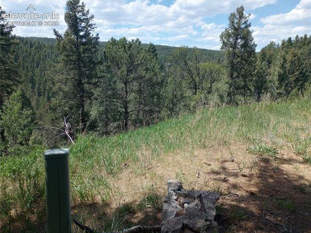 Land for sale in Teller, Colorado