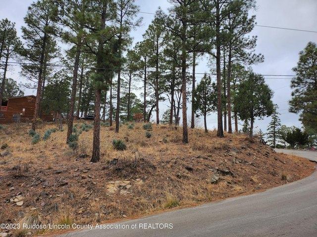 Land for sale in Alto, New Mexico