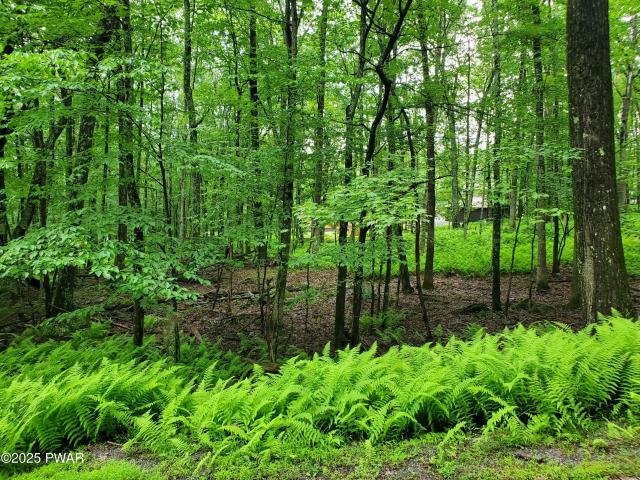 Land for sale in Beach Lake, Pennsylvania