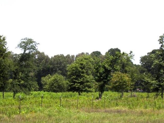 Land for sale in Ark