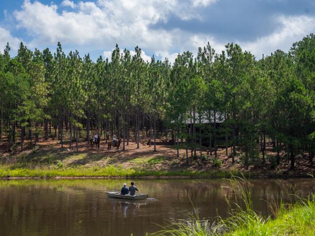 Land for sale in Aiken, South Carolina