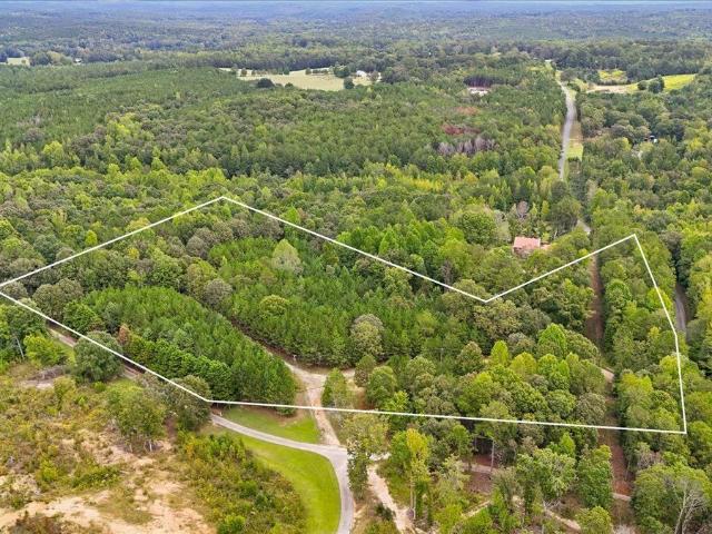 Land for sale in Buchanan, Haralson County