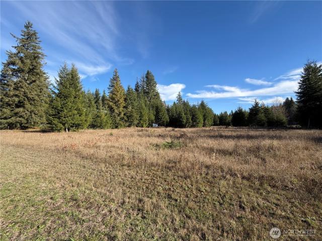 Land for sale in Glenoma, Washington