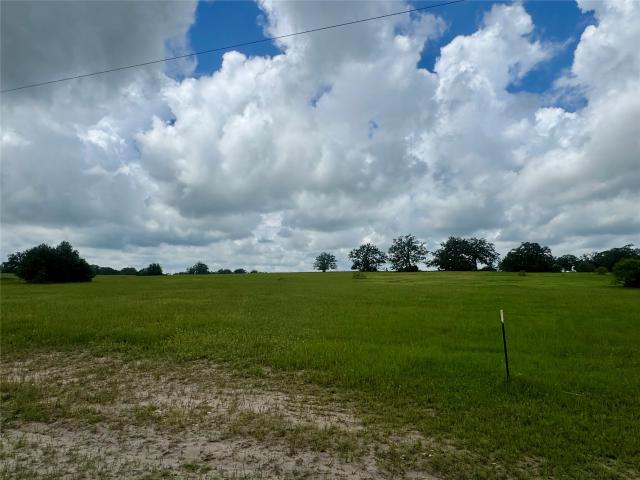 Land for sale in Madisonville, Texas