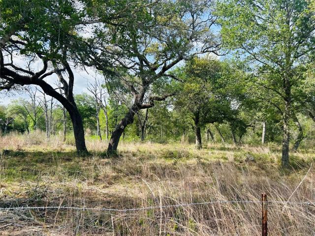 Land for sale in Columbus, Colorado County