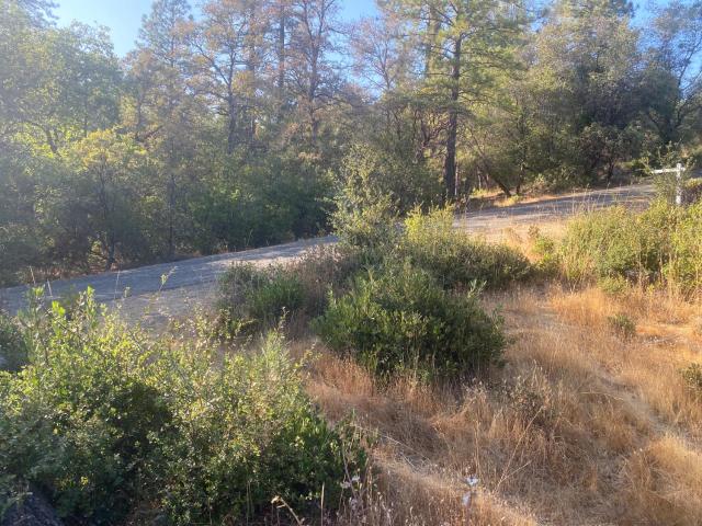 Land for sale in Dobbins, California