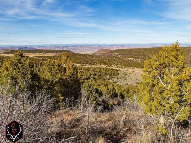 Farm for sale in Egnar, Colorado