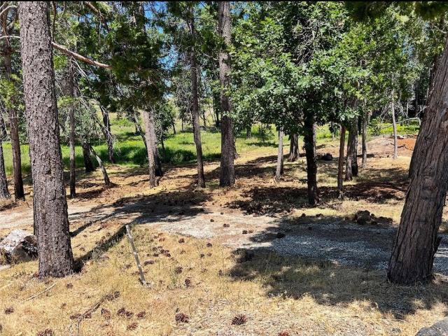 Land for sale in Magalia, California