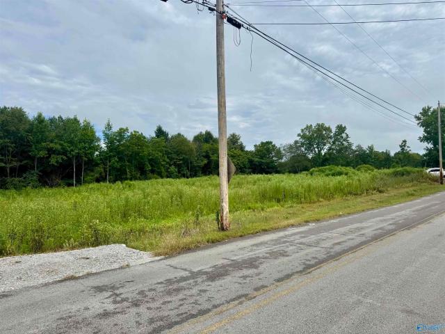 Land for sale in Harvest, Alabama