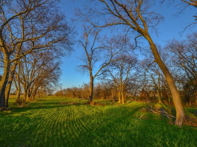 Land for sale in Rains, Texas
