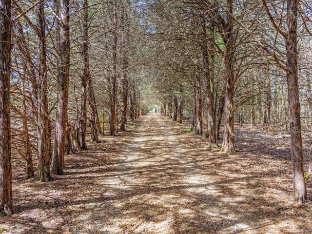 House for sale in Fannin, Texas