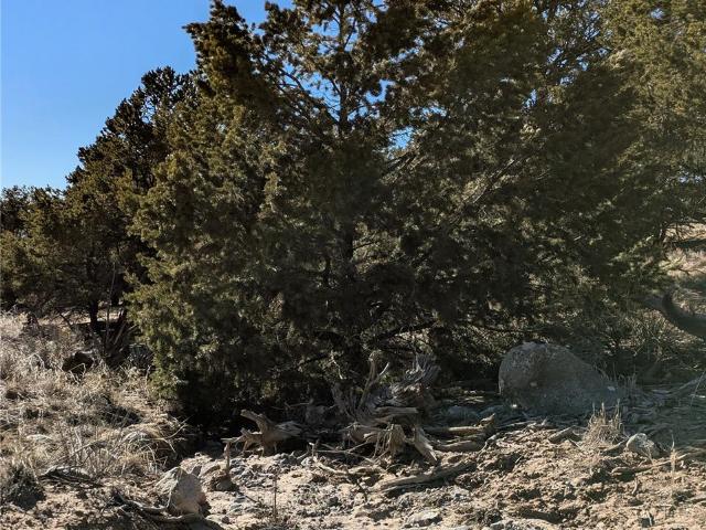 Land for sale in Crestone, Colorado