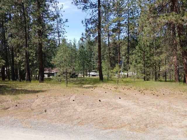Land for sale in Kettle Falls, Washington