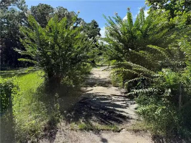 House for rent in Theodore