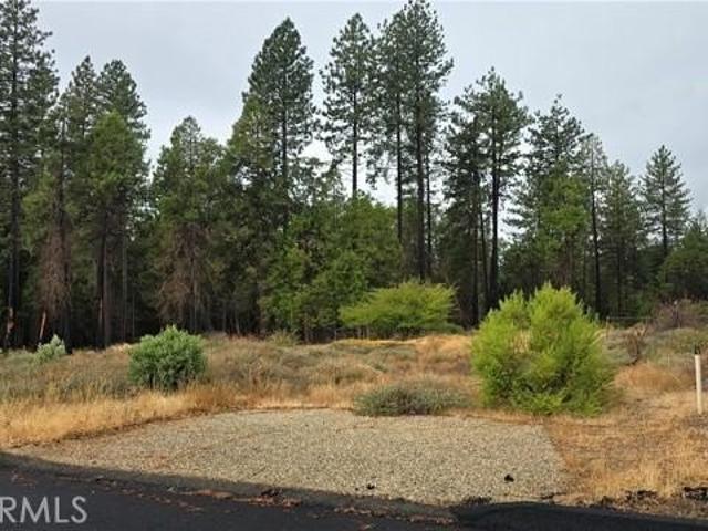 Land for sale in Butte, California