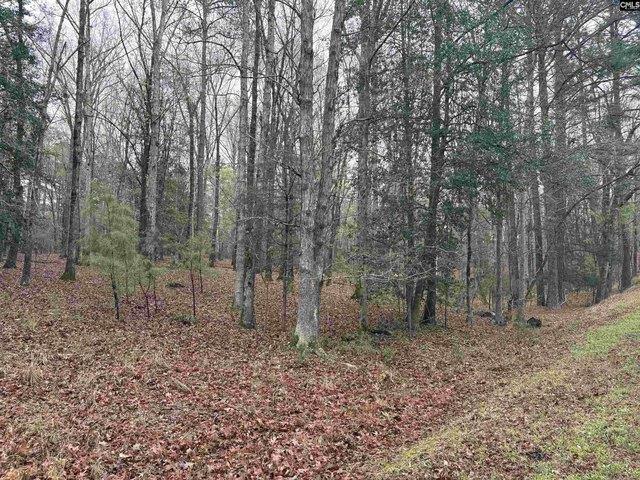 Land for sale in Ridgeway, South Carolina