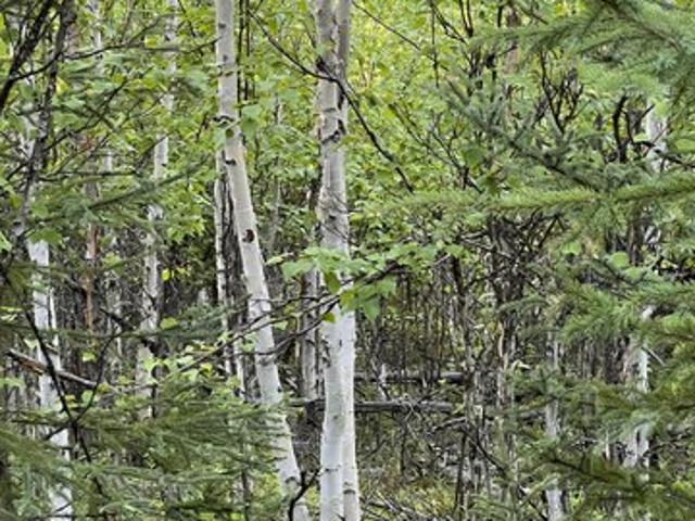 Land for sale in Holt, Missouri