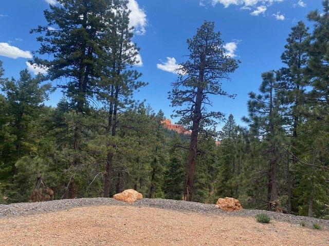 Land for sale in Duck Creek Village, Utah