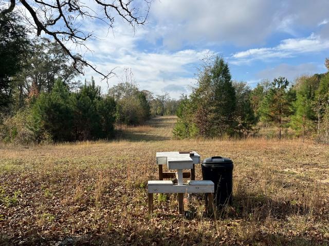 Land for sale in Shorterville, Alabama