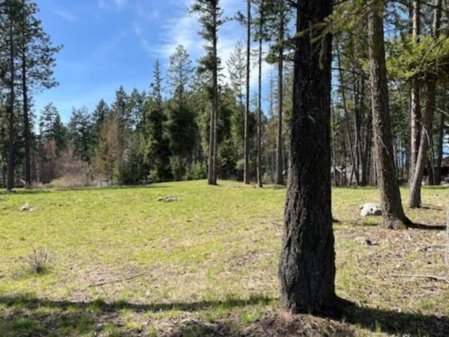 Land for sale in Bigfork, Montana