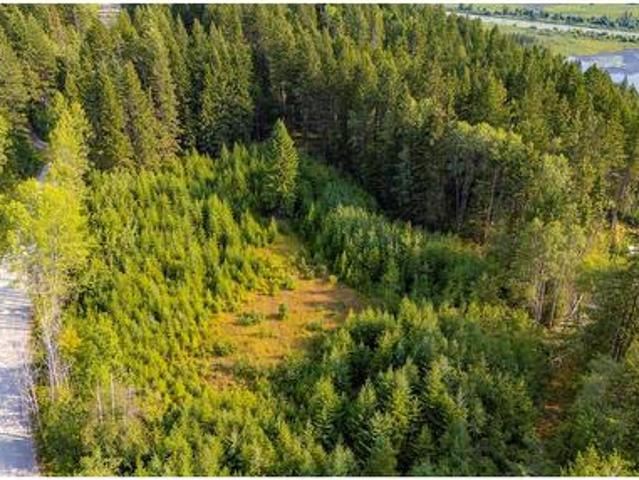 Land for sale in Parson, British Columbia