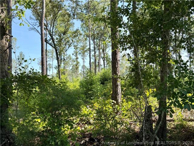 Land for sale in Lumberton, North Carolina