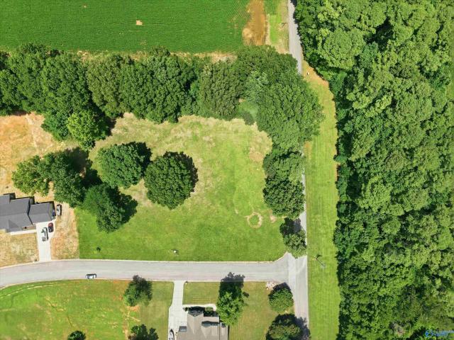 Land for sale in Athens, Alabama