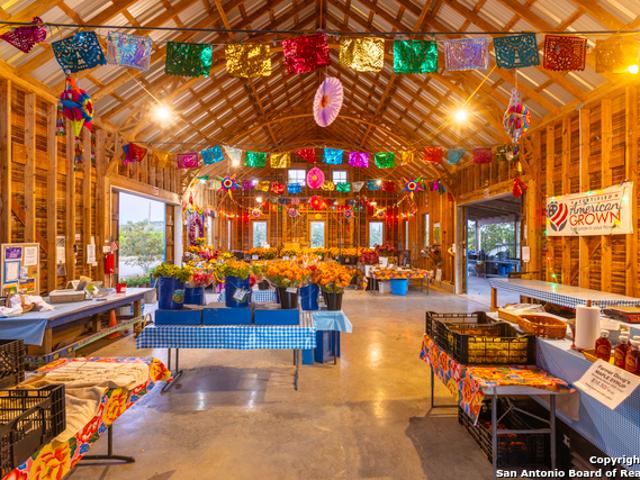 Farm for sale in Blanco, Texas