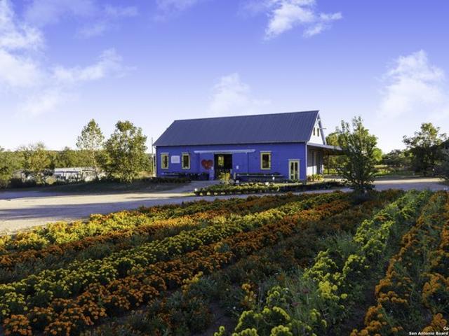 Farm for sale in Blanco, Texas