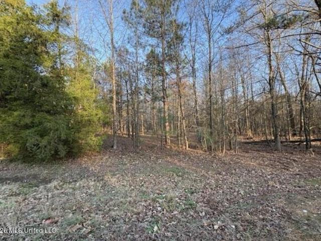Land for sale in Tate, Mississippi