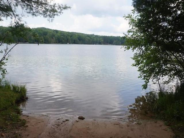 Land for sale in Kalkaska, Michigan