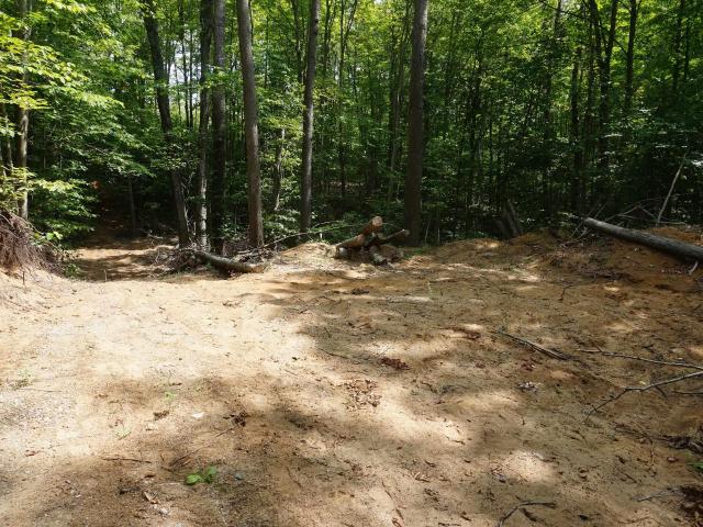 Land for sale in Michigan