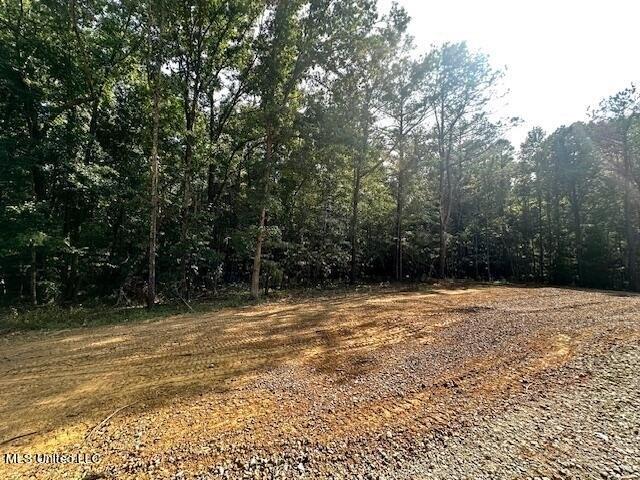 Land for sale in Byhalia, Marshall County
