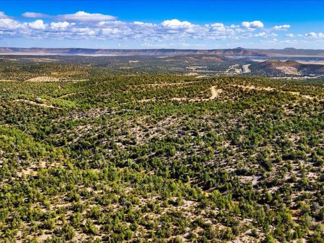 Land for sale in Arizona