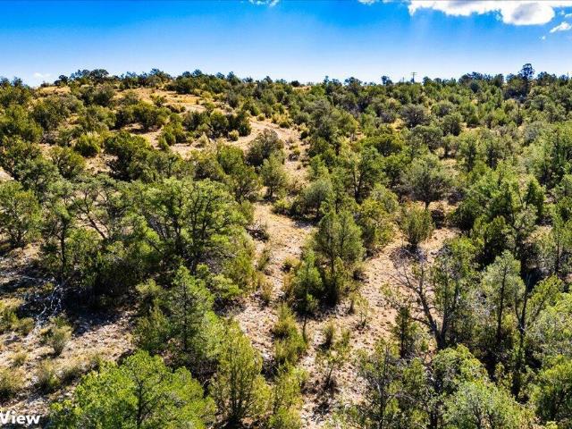 Land for sale in Ash Fork, Arizona