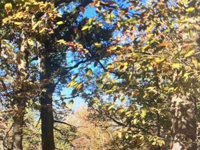 Land for sale in Bessemer, Alabama