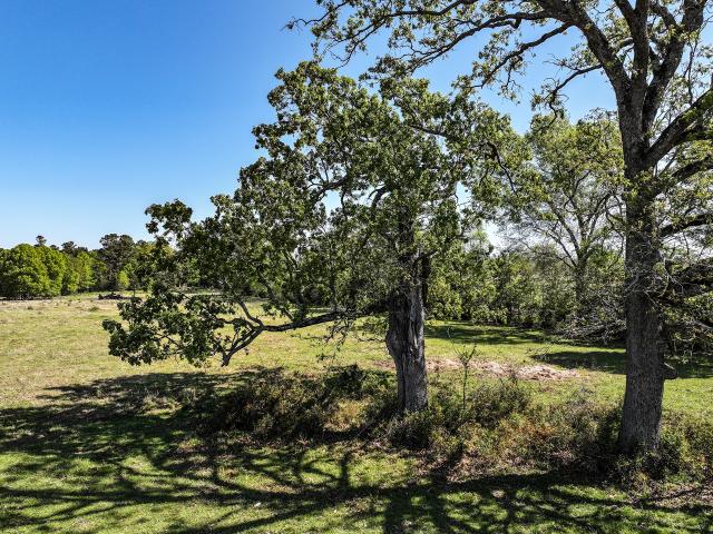 Land for sale in Crockett, Texas