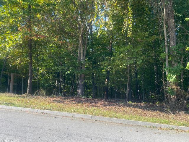 Land for sale in New Bethel, Piney Flats