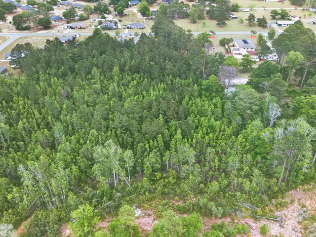 Land for sale in Reidsville, Georgia