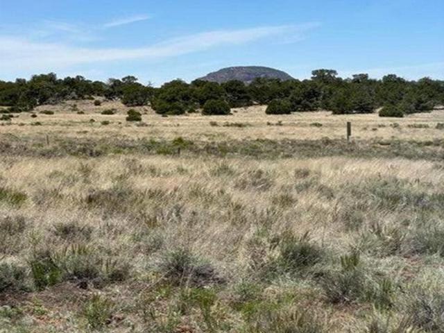 Land for sale in Pie Town, Catron County