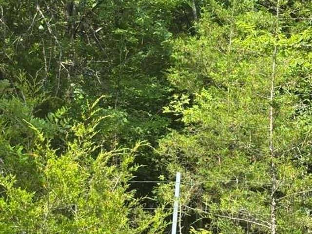 Land for sale in Byhalia, Mississippi