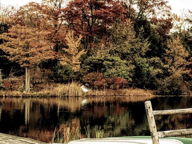 Land for sale in Newfoundland, Pennsylvania