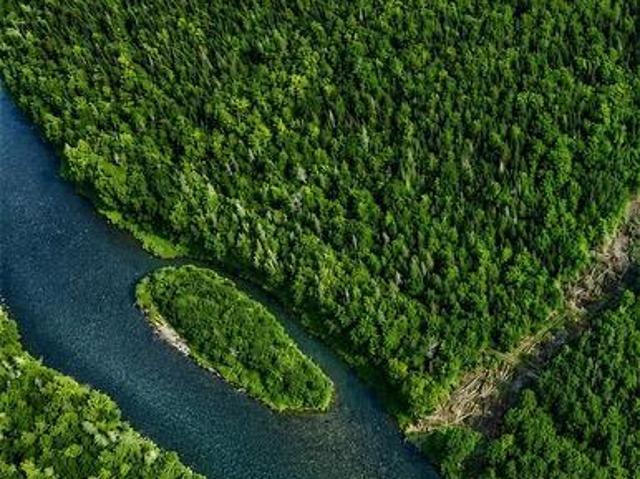 Land for sale in Taxis River, New Brunswick