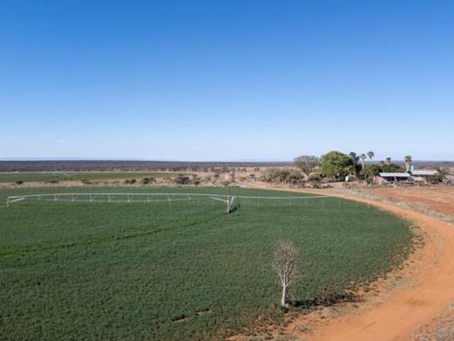 Farm for sale in Dendron, Limpopo
