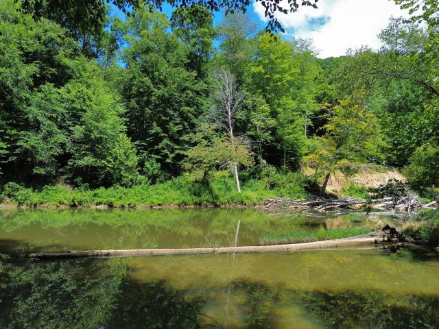 House for sale in Garrison, Kentucky
