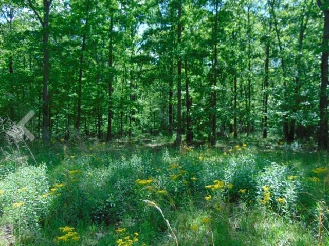 Land for sale in Tennessee